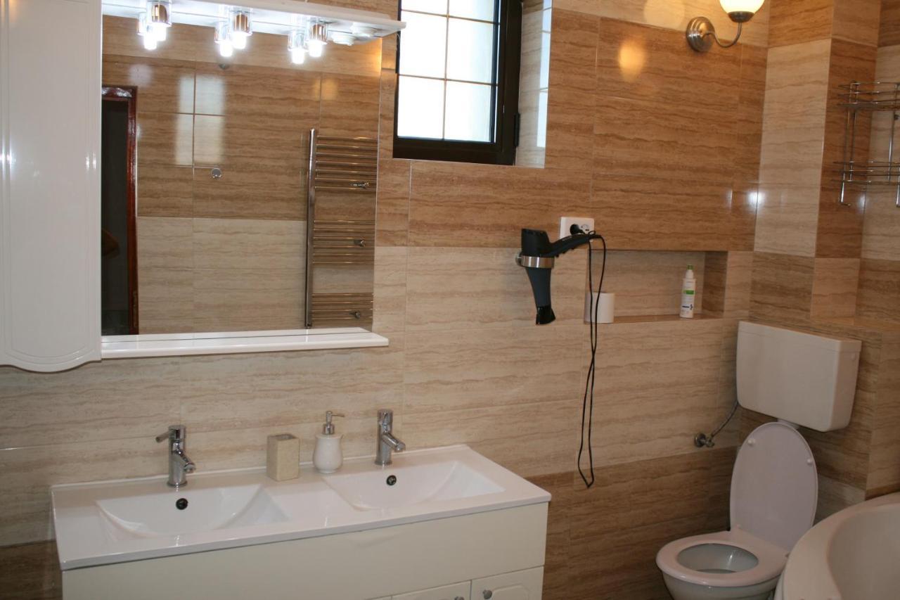 Penthouse Daniela - 3 Rooms In A Spacious Central Apartment Тыргу-Муреш Экстерьер фото